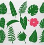 Image result for Hawaiian Leaf SVG