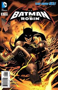 Image result for Batman and Robin Suit