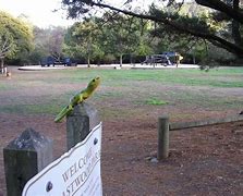 Image result for 711 E Blithedale Ave, Mill Valley, CA 94941 United States