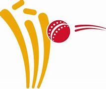 Image result for Cricket Text Elements PNG