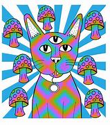 Image result for Trippy Cat Wallpapers for Laptop