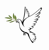 Image result for Christain White Bird