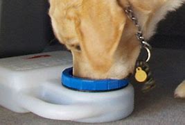 Image result for Portable Dog Water Trough