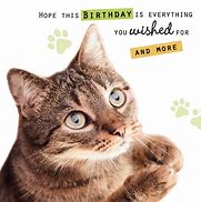 Image result for Happy Birthday Julie Cat