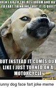 Image result for Fart Funny Dog Memes