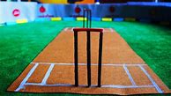 Image result for Cricket Information for Project in PDF
