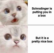 Image result for Schrodinger's Cat Meme