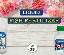 Image result for Liquid Fish Fertilizer