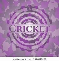 Image result for Cricket