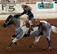 Image result for Paint Horse Racing Photos