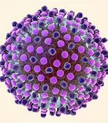 Image result for Hepatitis C