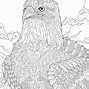 Image result for Vetrans Day Bald Eagle Coloring Pages
