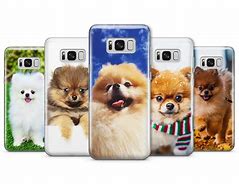 Image result for Pomeranian iPhone Case