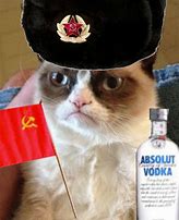 Image result for Soviet Russia Cat Memes