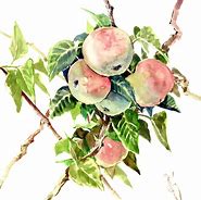 Image result for Apple Tree Watercolor