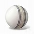 Image result for Real Cricket Ball