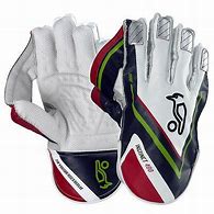 Image result for Cricket Wicket keeper Gloves