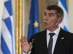 Image result for Israel Foreign Minister