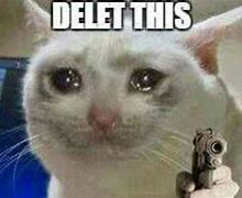 Image result for Crying Cat Meme Standing