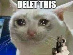 Image result for Crying Cat Xbox Meme