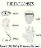 Image result for Five Senses Counting