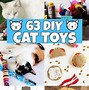 Image result for Cat Food Puzzle Toys