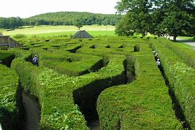 Image result for Circular Hedge Maze