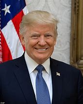 Image result for Trump Official Portrait