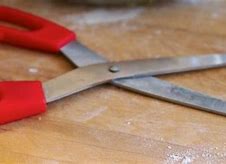 Image result for Best Kitchen Scissors in the World