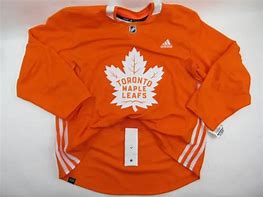 Image result for Toronto Maple Leafs Third Jersey