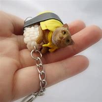 Image result for Sushi Cat Keychain
