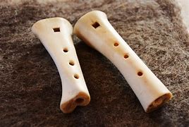Image result for Bones Musical Instrument