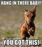 Image result for Hang in There Meme Super Vute
