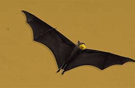 Image result for Crazy Bat Cartoon