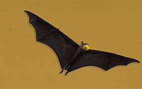 Image result for Flying Moose Bat