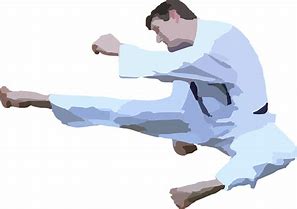 Image result for Martial Arts Karate Cartoon