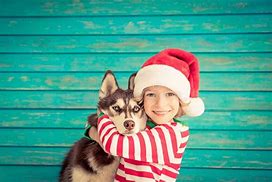 Image result for Xmas Eve Dog