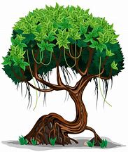 Image result for Jungle Tree Cartoon