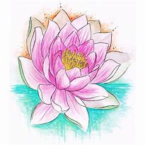 Image result for Lotus Flower Sketches