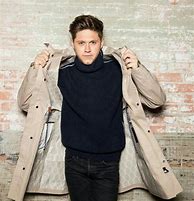 Image result for Niall Horan Model