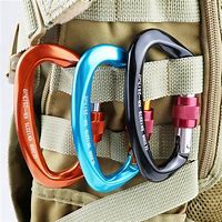 Image result for Mountaineering Carabiner