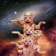 Image result for Galaxy Cat Meme Sticker