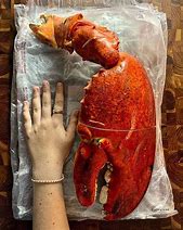Image result for Lobster with Giant Claw