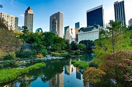 Image result for Urban Environment