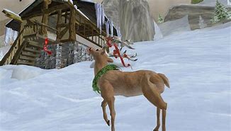 Image result for Rudolph in Real Life
