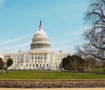Image result for USA Capitol Building