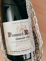 Image result for P Dubreuil Fontaine Pommard