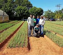 Image result for agropecuqrio