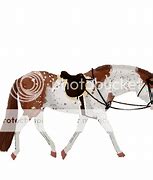 Image result for Aph Horse