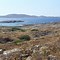 Image result for Delos Grecia